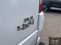 Tata Xenon TATA Xenon 2.2 Dicor 4x4 PL-DC Pick-up Weiß - thumbnail 10