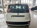 Fiat Panda 1.0 firefly 70cv hybrid Icon Bianco - thumbnail 6