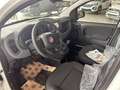 Fiat Panda 1.0 firefly 70cv hybrid Icon Bianco - thumbnail 8