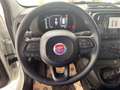 Fiat Panda 1.0 firefly 70cv hybrid Icon Bianco - thumbnail 13