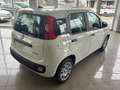 Fiat Panda 1.0 firefly 70cv hybrid Icon Bianco - thumbnail 7