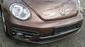 Volkswagen Beetle Design/Panorama/Navi/Euro6/PDC/Klimaaut. Braun - thumbnail 9