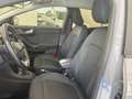 Ford Puma 1.0 EcoBoost 125 CV S&S aut. Titanium Grijs - thumbnail 13