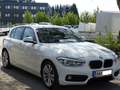 BMW 116 Sport Line, TOP Zustand, alle Service, + Garantie Blanc - thumbnail 7