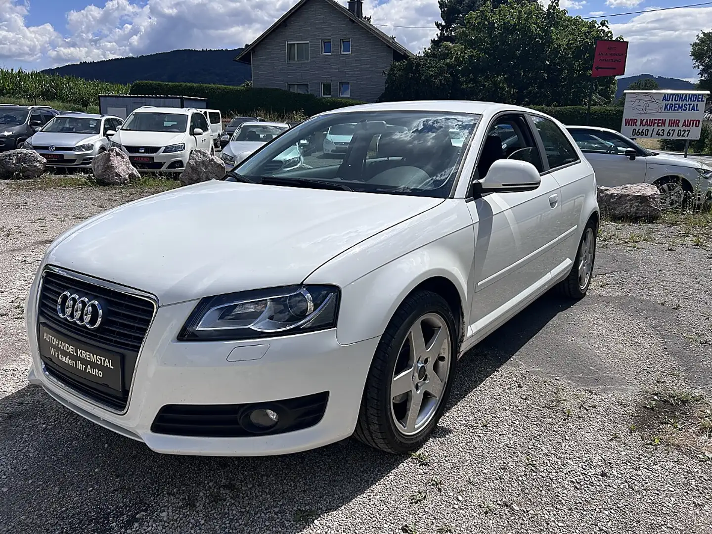 Audi A3 1,6 Jubiläumsmodell EXPORT KEIN PICKERL Weiß - 2