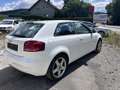 Audi A3 1,6 Jubiläumsmodell EXPORT KEIN PICKERL Weiß - thumbnail 5