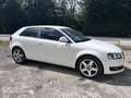 Audi A3 1,6 Jubiläumsmodell EXPORT KEIN PICKERL Weiß - thumbnail 3