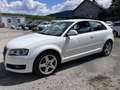 Audi A3 1,6 Jubiläumsmodell EXPORT KEIN PICKERL Weiß - thumbnail 4