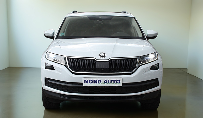 Skoda Kodiaq 2.0 PRIME 4x4 Aut Leder/Navi/Pano/LED/Ahk — photo 4
