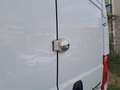 Fiat Ducato 35 L3H2 BlueHDi 140cv, portata 1.420kg, PREZZO REALE Blanco - thumbnail 13