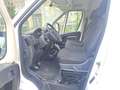 Fiat Ducato 35 L3H2 BlueHDi 140cv, portata 1.420kg, PREZZO REALE Blanco - thumbnail 5