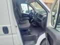 Fiat Ducato 35 L3H2 BlueHDi 140cv, portata 1.420kg, PREZZO REALE Blanco - thumbnail 8