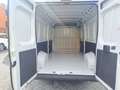 Fiat Ducato 35 L3H2 BlueHDi 140cv, portata 1.420kg, PREZZO REALE Blanco - thumbnail 6