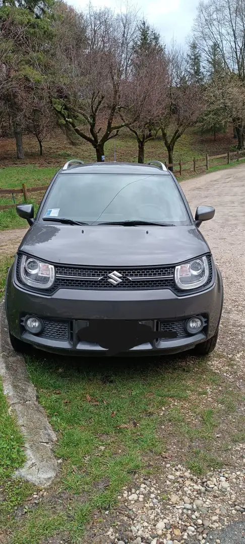 Suzuki Ignis 1.2h Cool 2wd - 1