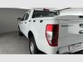 Ford Ranger 2.0 TDCi 125kW 4x4 Dob Cab. XLT Ltd S/S Blanc - thumbnail 19