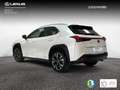 Lexus UX 250h 2.0 Premium Blanc - thumbnail 2