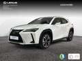 Lexus UX 250h 2.0 Premium Blanc - thumbnail 1