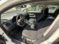 Toyota Auris Hybrid Premium ! Autom., 8-fach bereift ! Weiß - thumbnail 8