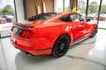Ford Mustang 3,7 V6 MACH 1 Rot - thumbnail 5