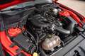 Ford Mustang 3,7 V6 MACH 1 Rot - thumbnail 18