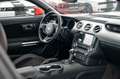 Ford Mustang 3,7 V6 MACH 1 Rot - thumbnail 20