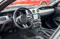 Ford Mustang 3,7 V6 MACH 1 Rot - thumbnail 19