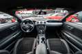 Ford Mustang 3,7 V6 MACH 1 Rot - thumbnail 29