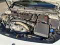 Mercedes-Benz A 35 AMG A 35 AMG 4MATIC Aut. Weiß - thumbnail 9