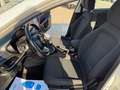 Fiat Tipo 1.6 Mjt S&S 5 porte Business Wit - thumbnail 13
