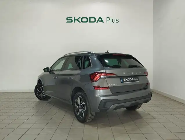 Skoda Kamiq view 10
