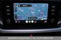 Skoda Scala Drive 125 years 116PS DSG|LED|ApCarPL|Frsp Grau - thumbnail 18