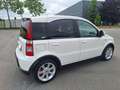 Fiat Panda Panda 1.4i 100 HP Wit - thumbnail 4