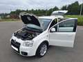 Fiat Panda Panda 1.4i 100 HP Wit - thumbnail 7