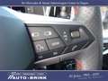 SEAT Ibiza FR mit Navi/LED/PTS+RFK/ACC/nur 18tkm Grau - thumbnail 23