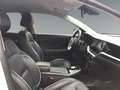 Kia Niro Elektro EV 64kWh long Range Platin Weiß - thumbnail 12