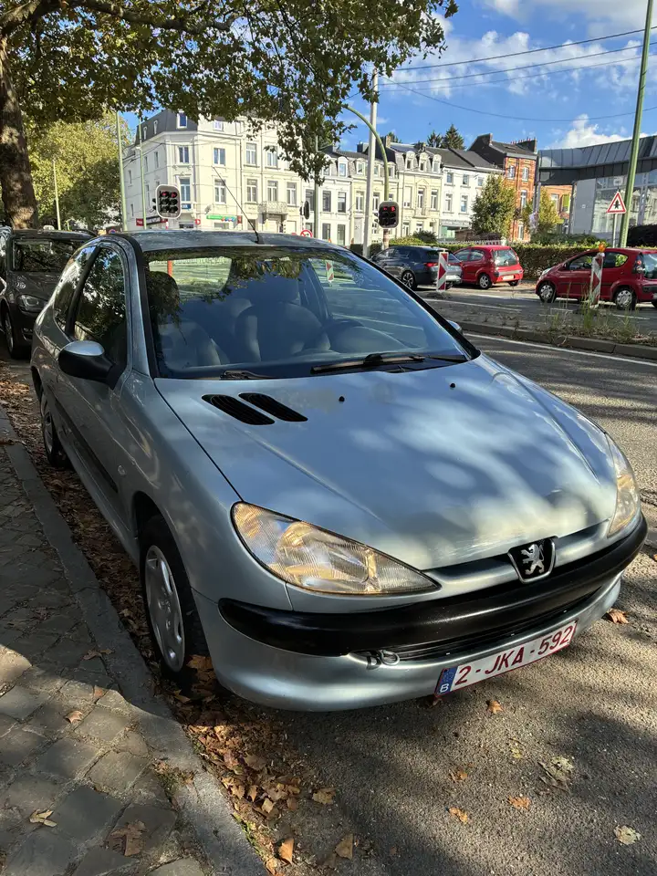 Peugeot 206 1.1i XT, foto 2
