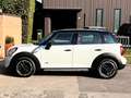 MINI Countryman S All4 2.0 4x4-Ideale per NEO-Pelle,Navi,Led-Euro6-FULL Wit - thumbnail 6