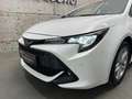 Toyota Corolla Touring Sports 1,8 Hybrid Active Weiß - thumbnail 3