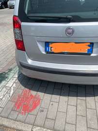 1.3 mjt 16v Dynamic s&s 95cv