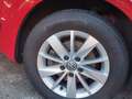 Volkswagen Golf 1.6TDI CR BMT Bluemotion 110 Rojo - thumbnail 21