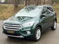 Ford Kuga 1,5 TDCi Titanium Start/Stop nur 26.000KM sehr ... Vert - thumbnail 1