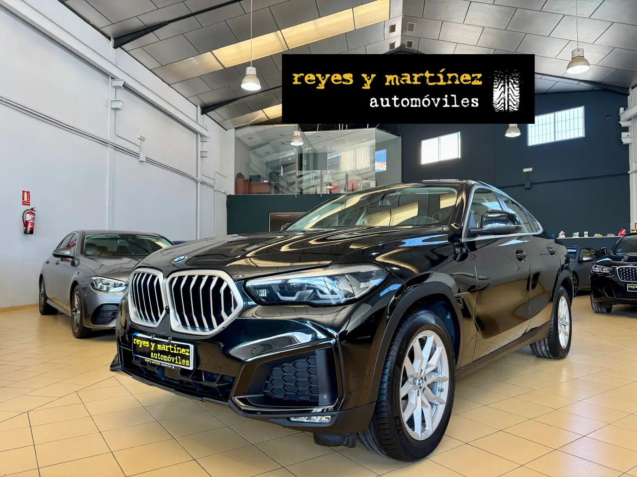 BMW X6