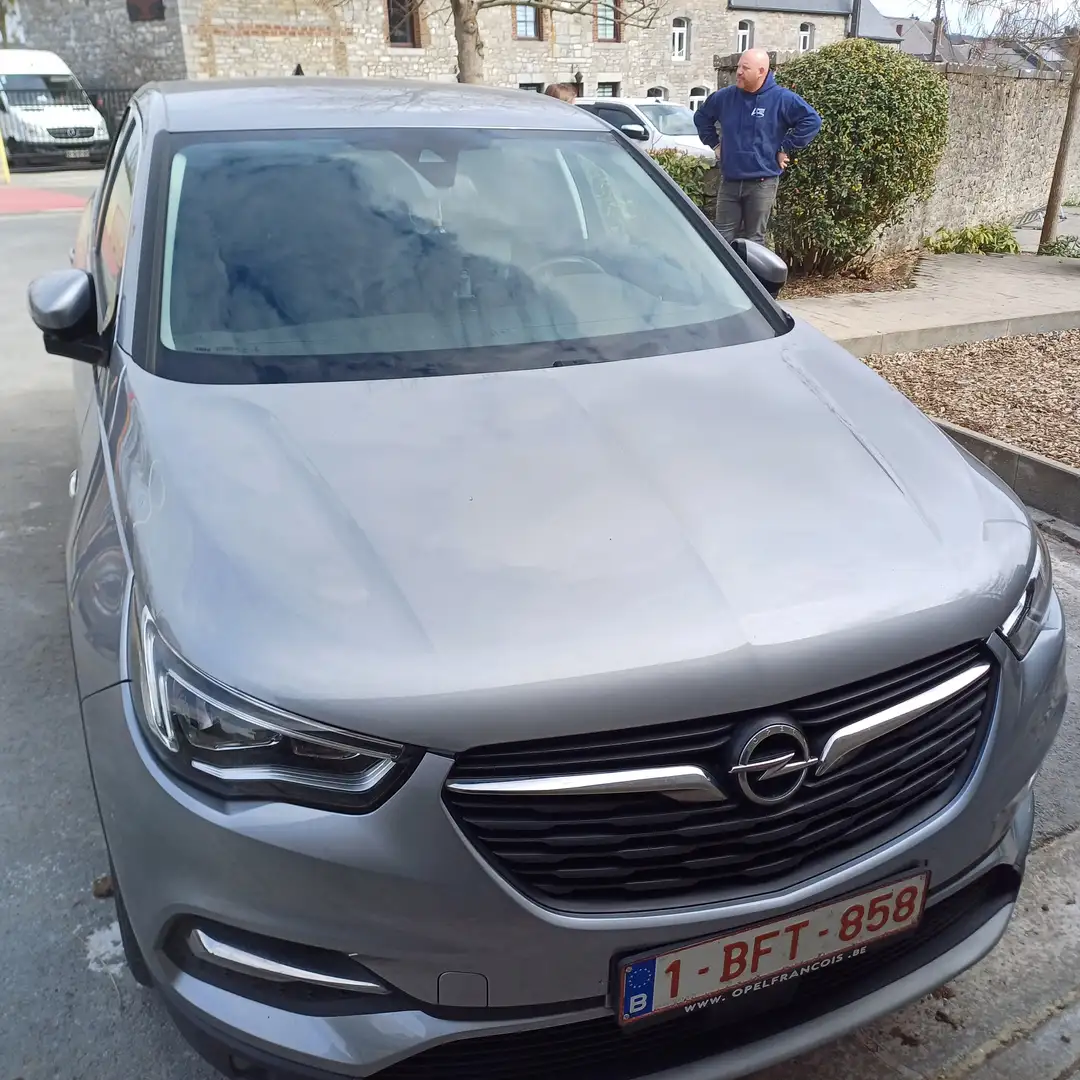 Opel Grandland X Grandland X 1.6 CDTI BlueInjection ECo Gris - 2