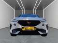 CUPRA Formentor 2.0 TDI 4D DSG *ACC*NAV*LED*SHZ* Blanc - thumbnail 2