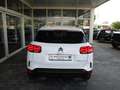 Citroen C5 Aircross HDI 130 EAT8 Feel Weiß - thumbnail 9