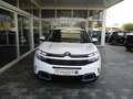 Citroen C5 Aircross HDI 130 EAT8 Feel Weiß - thumbnail 3