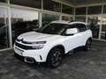 Citroen C5 Aircross HDI 130 EAT8 Feel Weiß - thumbnail 2