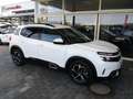 Citroen C5 Aircross HDI 130 EAT8 Feel Weiß - thumbnail 8