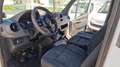 Mercedes-Benz Sprinter SPRINTER 316 CDI FRIGO E PEDANA CARICATRICE Bianco - thumbnail 13