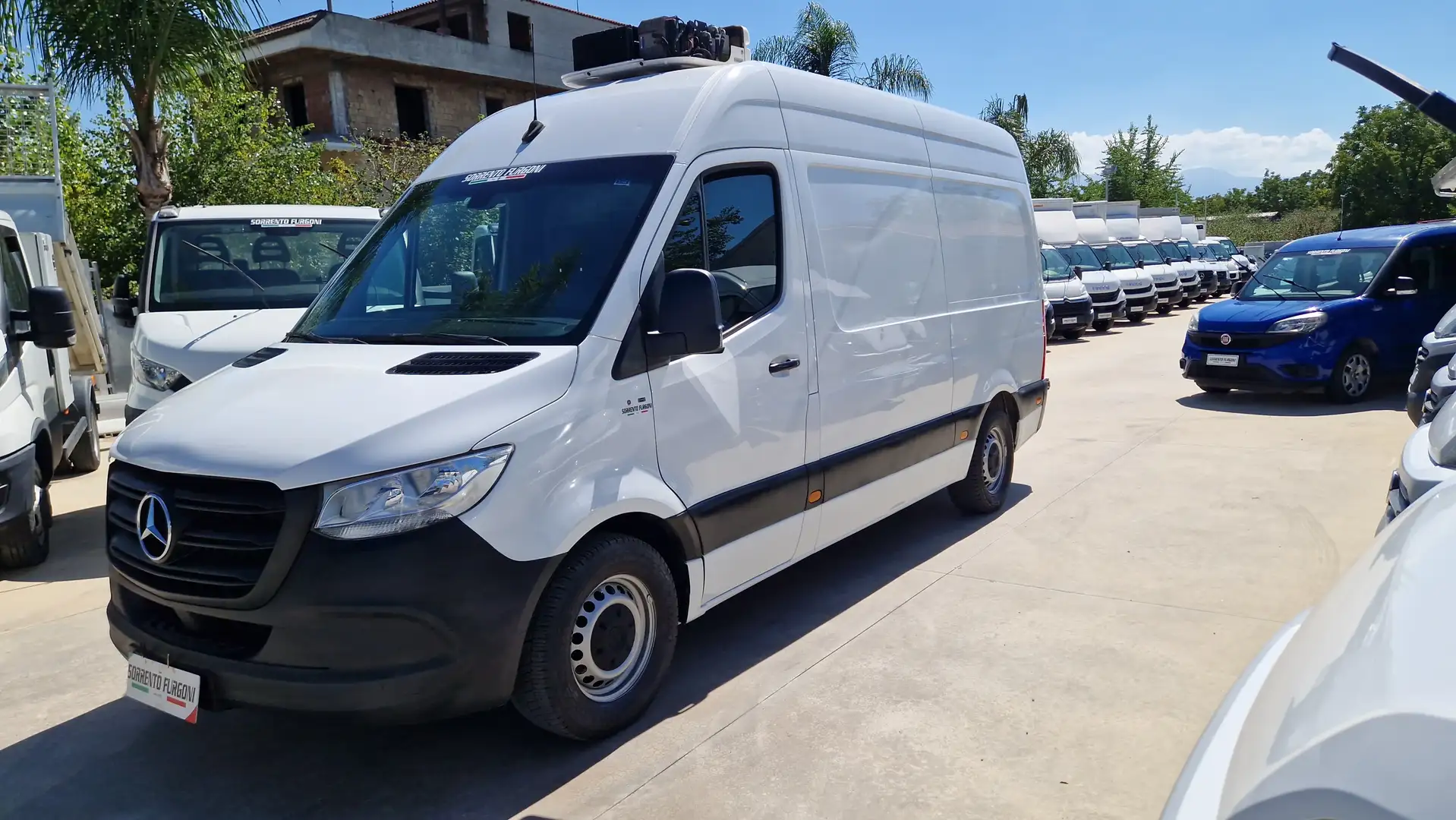 Mercedes-Benz Sprinter SPRINTER 316 CDI FRIGO E PEDANA CARICATRICE Bianco - 2
